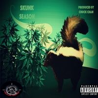 Skunk Season