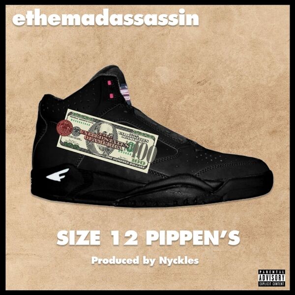 Cover art for Size 12 Pippen's